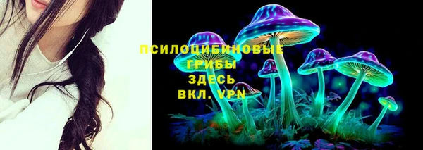 стафф Нея