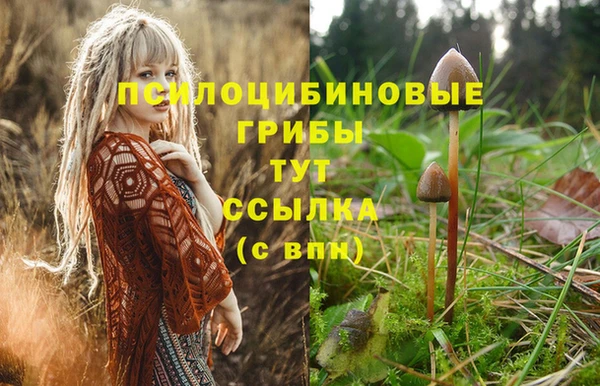 jwh Нефтегорск
