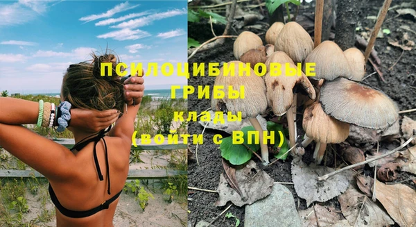 стафф Нея