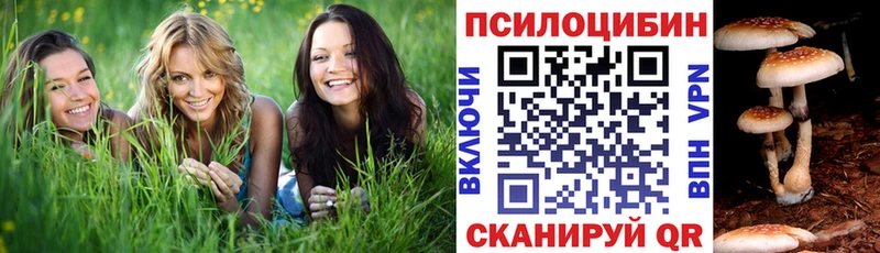 Псилоцибиновые грибы Magic Shrooms  ОМГ ОМГ рабочий сайт  Осташков 